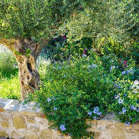 Hills - Luxury With Private Pool, Garden & Seaview *