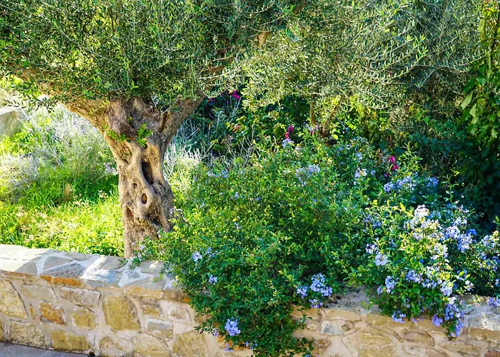 Hills - Luxury With Private Pool, Garden & Seaview *